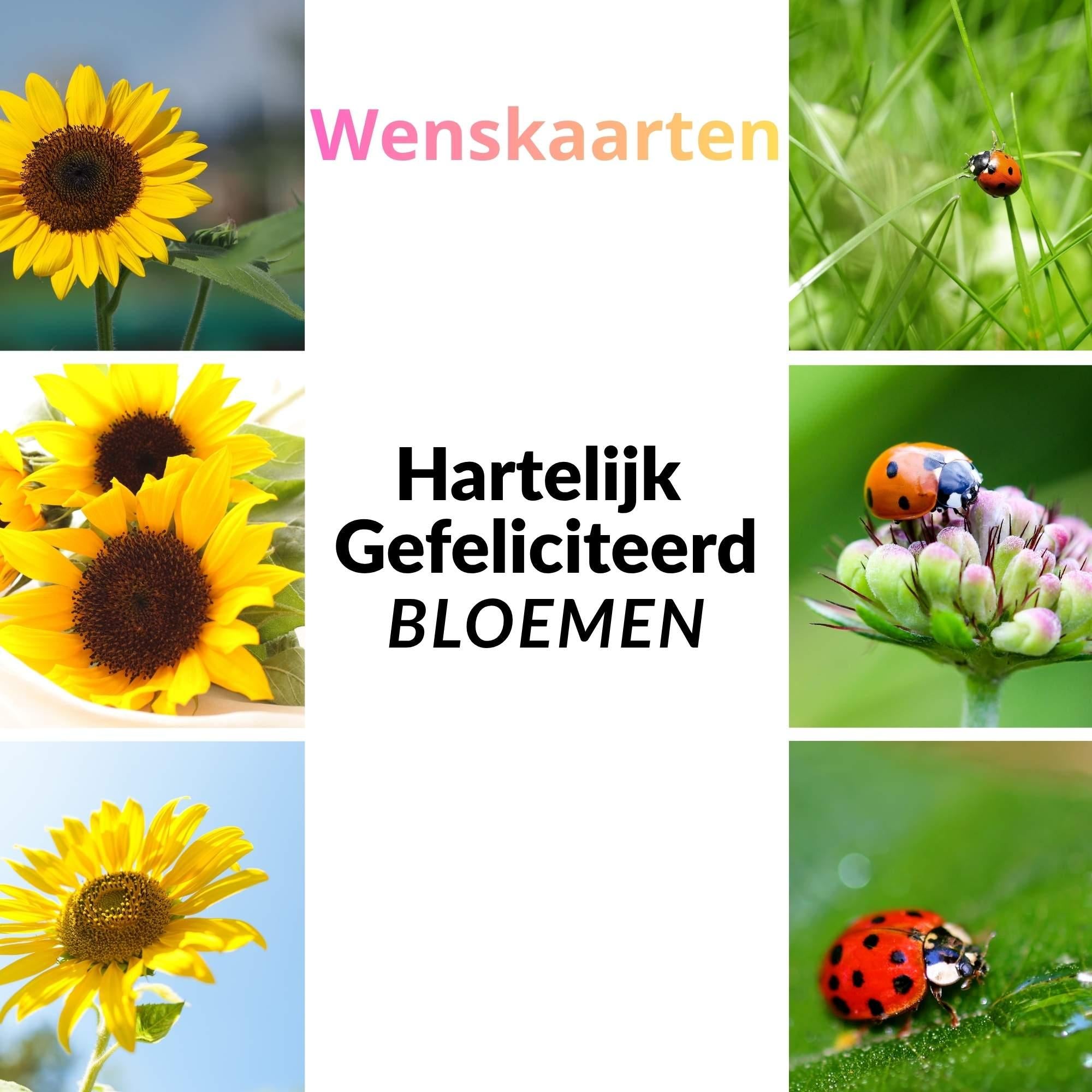 Wenskaarten - Gefeliciteerd Bloem