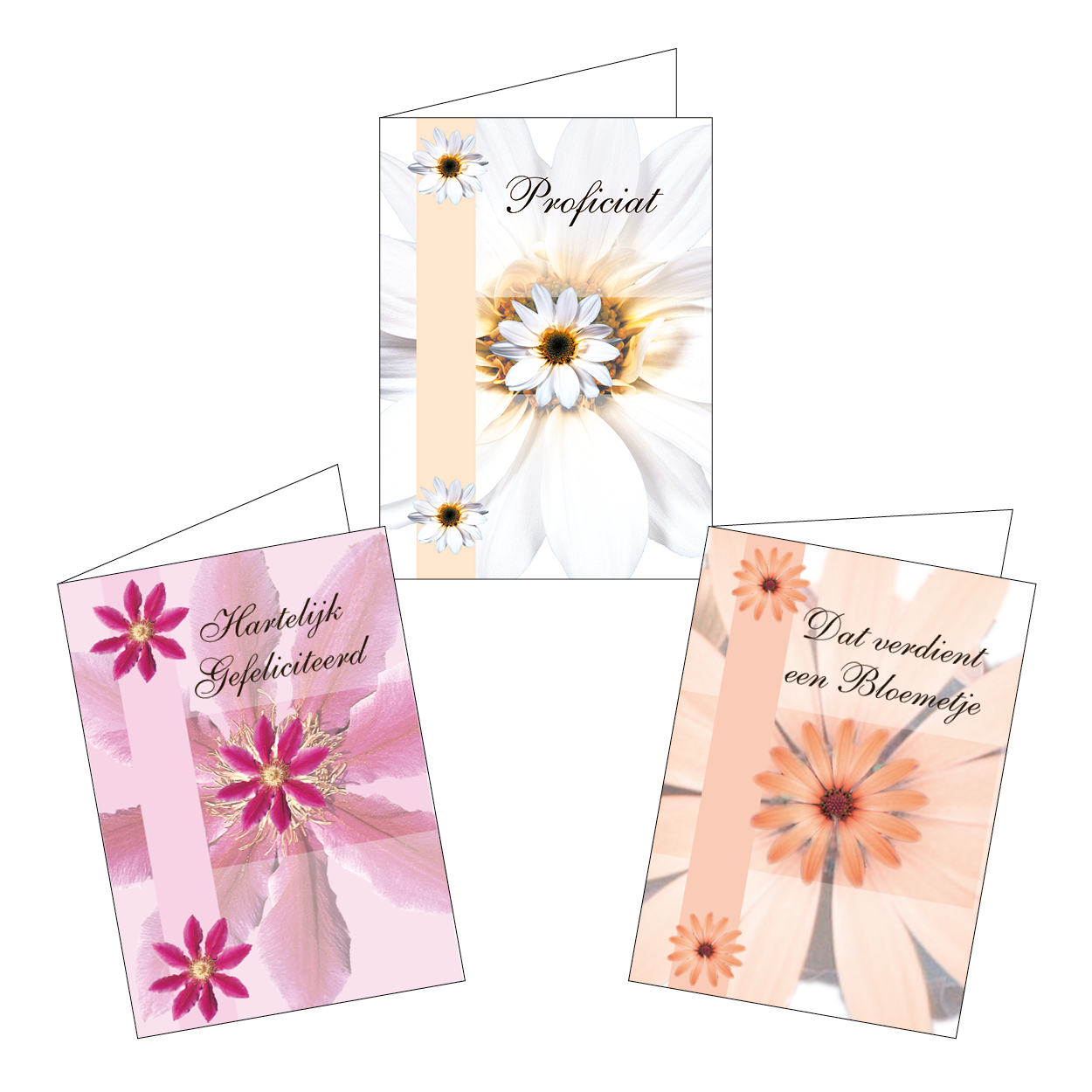 Bloemenkaartjes - Fairy