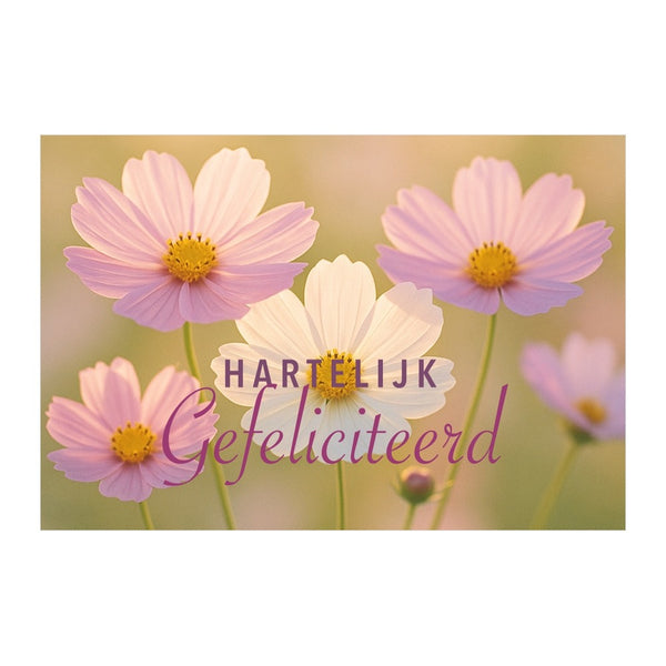 Hartelijk Gefeliciteerd bloemen in tegenlicht